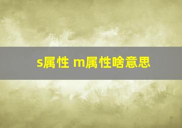 s属性 m属性啥意思